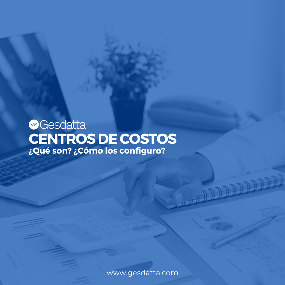 Centros de Costos Sistema Gesdatta Sistema Gesdatta
