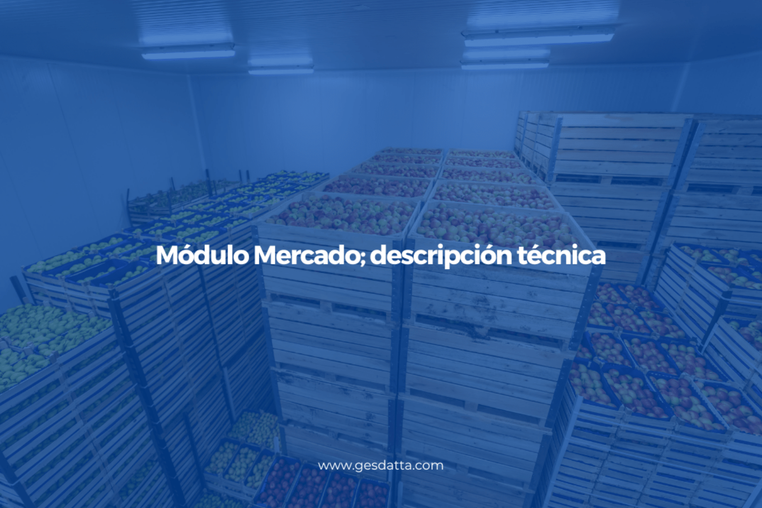 Módulo Mercado Descripción Técnica Sistema Gesdatta Blog