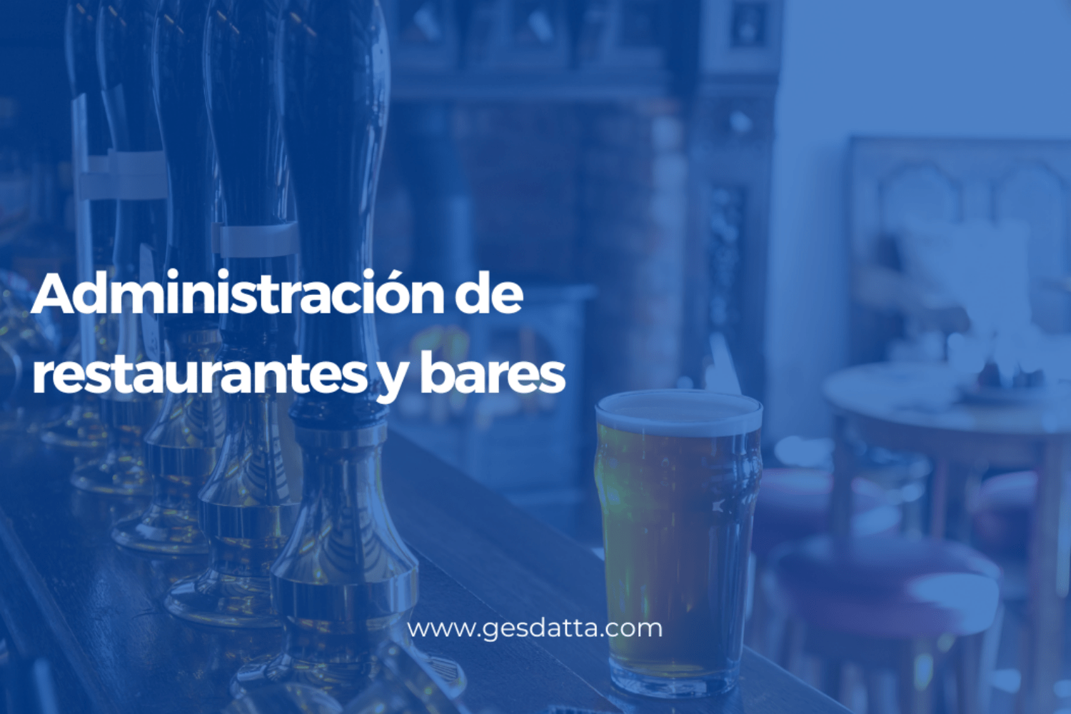 sistema para restaurantes y bares