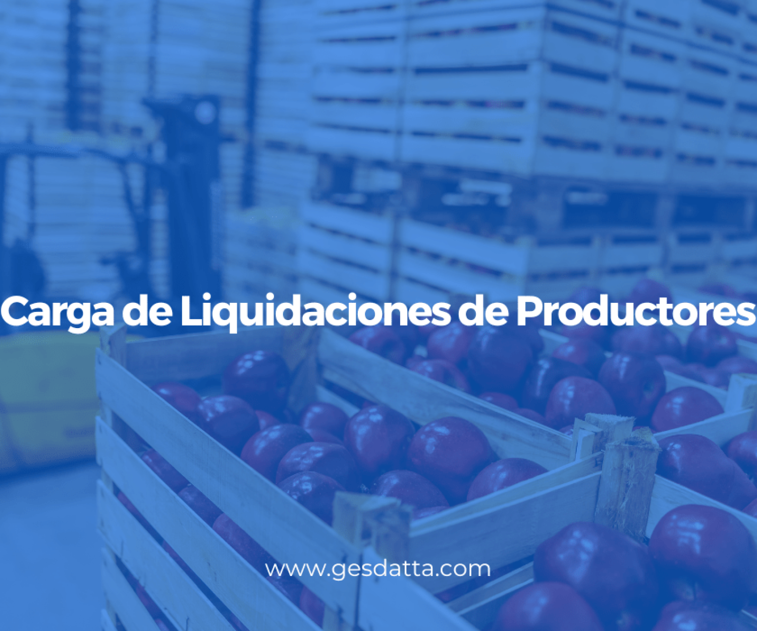 Carga de Liquidaciones de Productores