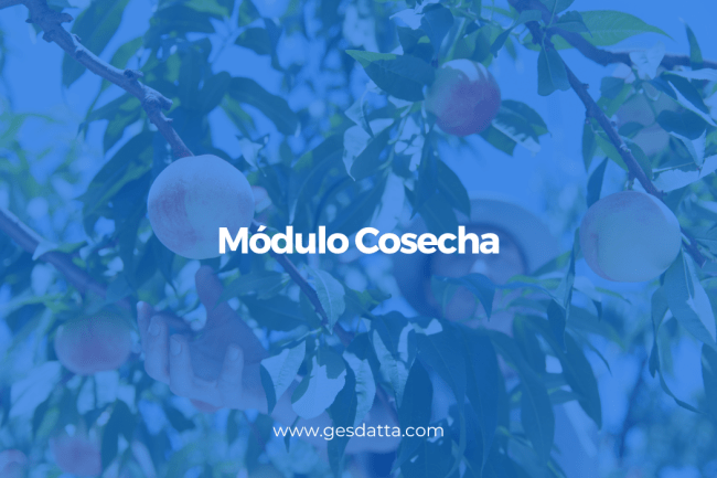Módulo Cosecha