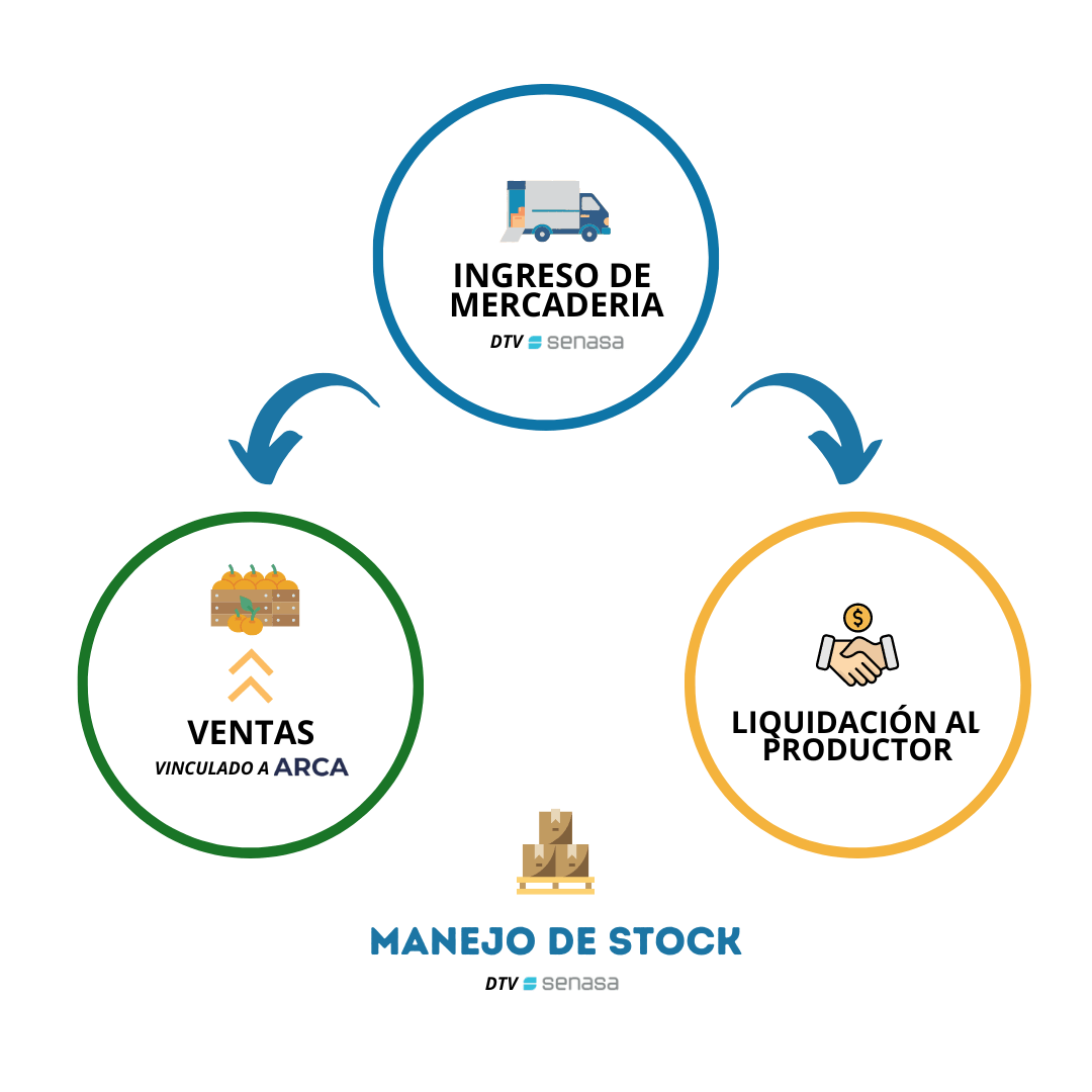 modelo de mercado frutihorticola gesdatta