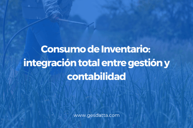 Consumo de Inventario en Gesdatta: integración total entre gestión y contabilidad
