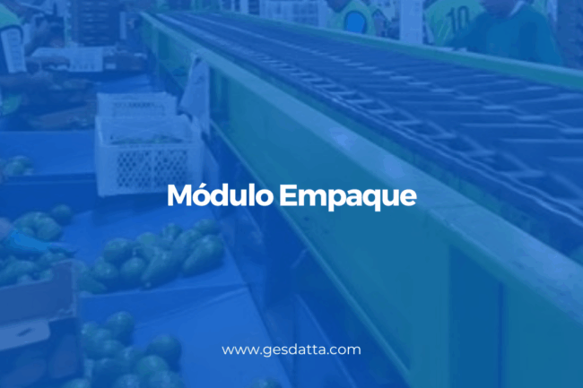 modulo empaque