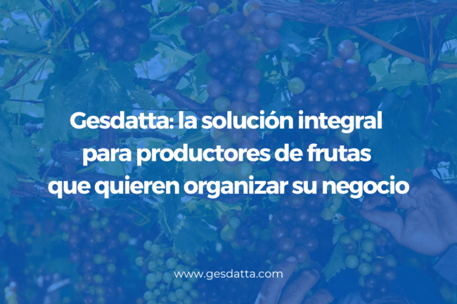Gesdatta: la solución integral para productores de frutas que quieren organizar su negocio