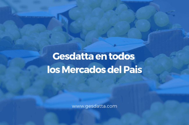 Gesdatta en todos los puestos de mercado del pais